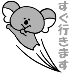 [LINEスタンプ] 君の日常コアラ