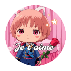 [LINEスタンプ] キラキラ☆ノアくん フランス語