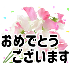[LINEスタンプ] *花*春のお祝い 合格 卒業 入学 就職