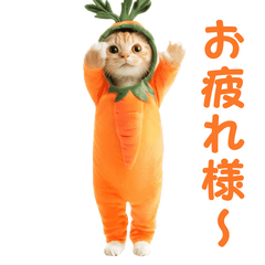 [LINEスタンプ] 踊る！食べ物ネコ