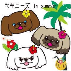 [LINEスタンプ] ペキニーズ in summer