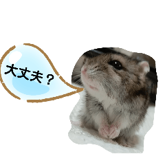 [LINEスタンプ] ハムスターのさくら君