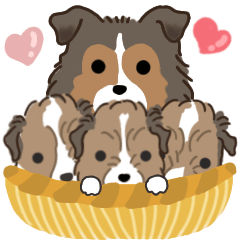 [LINEスタンプ] 家族連絡仔犬のだんごあられみぞれ