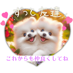 [LINEスタンプ] ポメラニアンの日常会話集