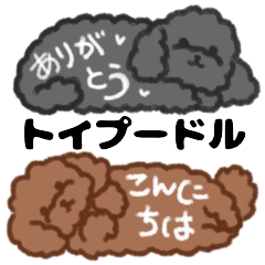 [LINEスタンプ] シンプル可愛いトイプードル