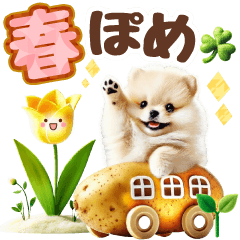 [LINEスタンプ] 癒しポメラニアンの春のあいさつ