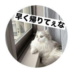 [LINEスタンプ] なにわのテンちゃん！