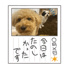 [LINEスタンプ] 8くんと3くんの画像（メイン）