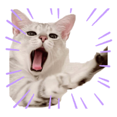 [LINEスタンプ] るどたび。