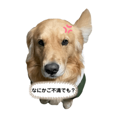 [LINEスタンプ] いたずらっこぱるくんの画像（メイン）