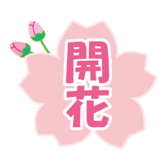 [LINEスタンプ] 桜の季節に！見頃とお祝いスタンプ