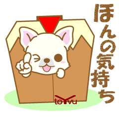 [LINEスタンプ] わんこ日和(白チワワ)③-toYvu-