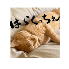 [LINEスタンプ] yocco baba（関川村弁②チビバージョン）
