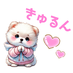 [LINEスタンプ] ふわふわポメラニアン パーカー編