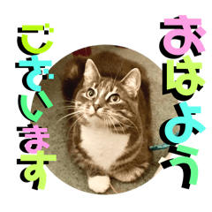 [LINEスタンプ] はなちゃんもいっしょに…Vol.1