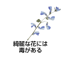 [LINEスタンプ] 花にだって色々ある