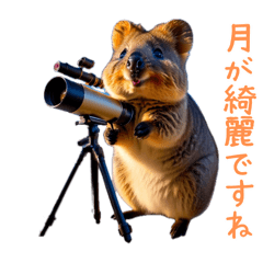 [LINEスタンプ] ハッピーアニマル_クオッカワラビー32