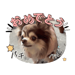 [LINEスタンプ] リンリとリリの日常3の画像（メイン）