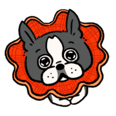 [LINEスタンプ] ボストンテリア ぱるちゃん！