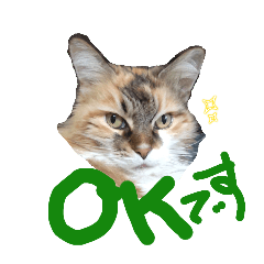 [LINEスタンプ] にゃんこの居処  改