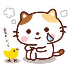 [LINEスタンプ] ねこのニャンタン_あたたかい思い