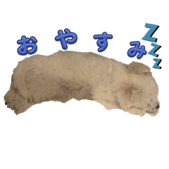 [LINEスタンプ] Oiくん