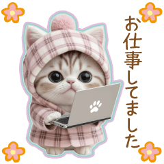 [LINEスタンプ] スコティッシュ猫 日常＆状況伝える 敬語