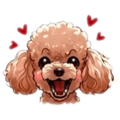 [LINEスタンプ] 日常使用キュートなトイプードルスタンプ