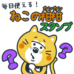 [LINEスタンプ] 毎日使える！ねこの柑柑(カンカン)スタンプ