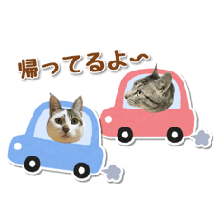 [LINEスタンプ] 吾輩達はみるくらてである