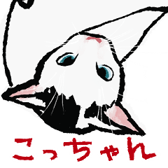 [LINEスタンプ] こっちゃんの、日常茶飯事の画像（メイン）