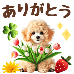 [LINEスタンプ] 癒しプードルの春のあいさつ