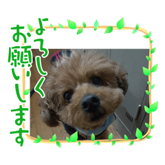 [LINEスタンプ] かわいいジェ3