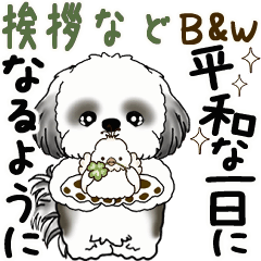 [LINEスタンプ] B＆W 動くシーズー犬 2025 「挨拶など」2