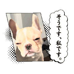 [LINEスタンプ] とにかく飲みたいバムケロ