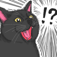 [LINEスタンプ] 黒猫さんとシャム猫さんの日常
