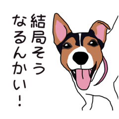 [LINEスタンプ] ソラマメかわいいよソラマメ基本セット