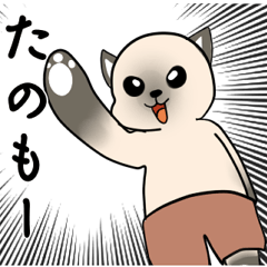 [LINEスタンプ] シャム猫のうちわ戦争