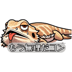 [LINEスタンプ] 脱力のコンちゃん！