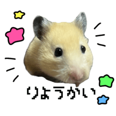 [LINEスタンプ] ▽▼からあげしゃんすたんぷ▽▼