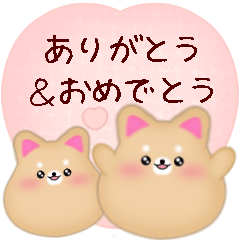 [LINEスタンプ] 【柴犬・豆柴】ありがとう＆おめでとう