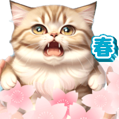 [LINEスタンプ] 【BIG】春♡お花♡桜♡ねこ (心づかい)の画像（メイン）