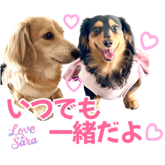 [LINEスタンプ] Love＆Sara3