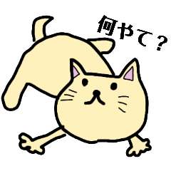 [LINEスタンプ] ヘタくそ落書き猫（しろ）