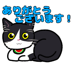[LINEスタンプ] みんなの可愛い猫さん