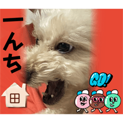 [LINEスタンプ] 新一セレクトめるるのおでかけ