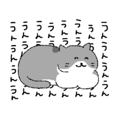 [LINEスタンプ] ハチワレ猫のまいにち