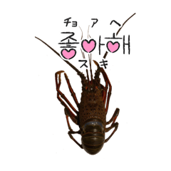 [LINEスタンプ] 生き物シリーズ:伊勢海老2