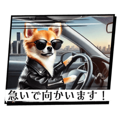 [LINEスタンプ] チワワの日常会話集