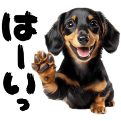 [LINEスタンプ] 筆文字♡ダックス